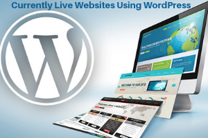 wordpress users