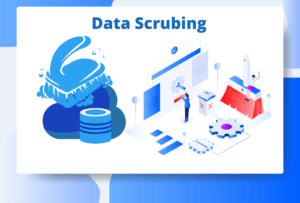 Data scrubbing