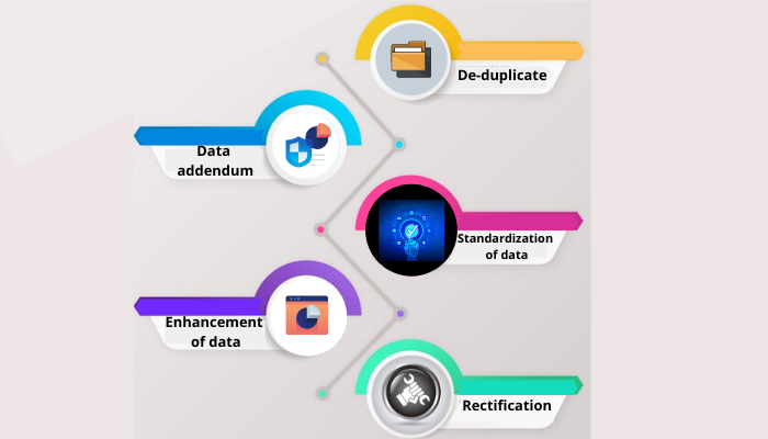 Data scrubbing Services
