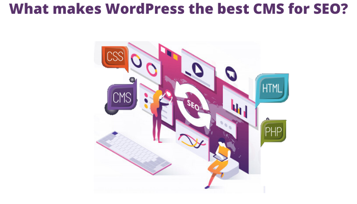 best cms for seo