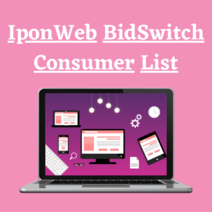 IponWeb BidSwitch Customer List