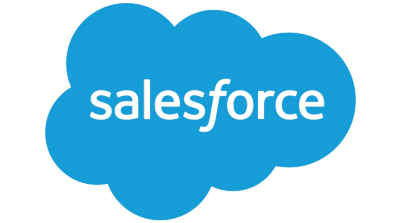 CRM Audit Salesforce - BizProspex