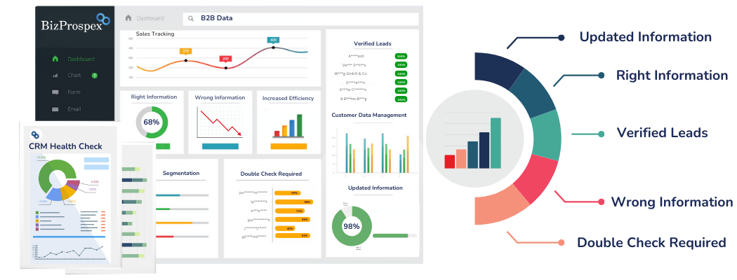 CRM Data Health Check - BizProspex