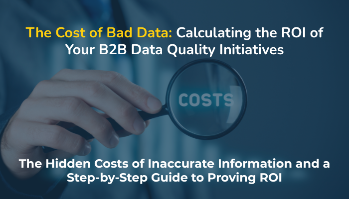 The Cost of Bad Data Calculating the ROI of Your B2B Data Quality Initiatives
